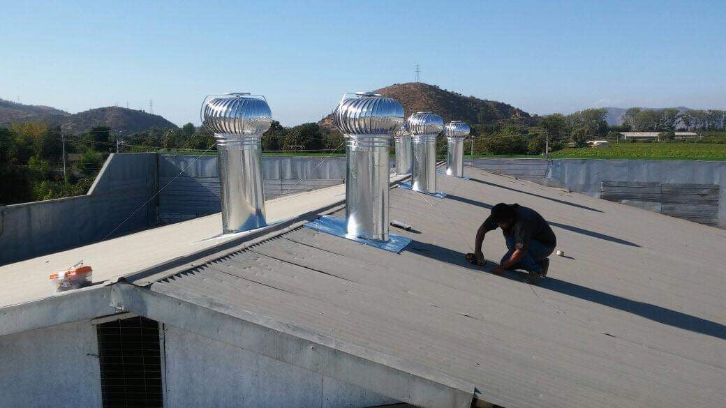 Extractor eólico